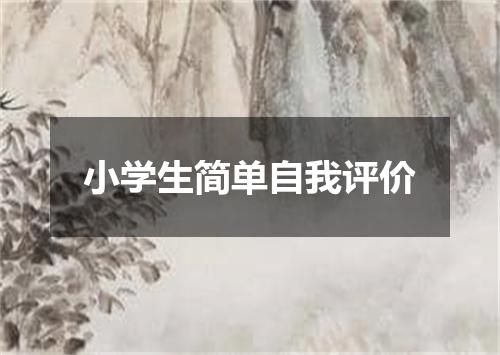 小学生简单自我评价