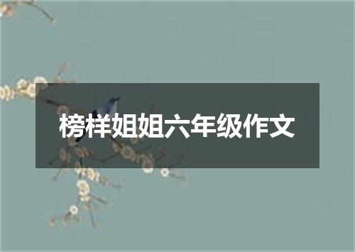 榜样姐姐六年级作文