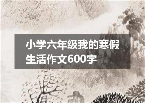 小学六年级我的寒假生活作文600字