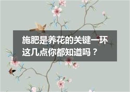 施肥是养花的关键一环这几点你都知道吗？