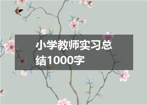 小学教师实习总结1000字