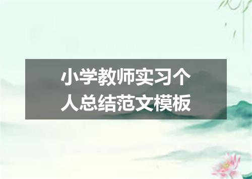 小学教师实习个人总结范文模板