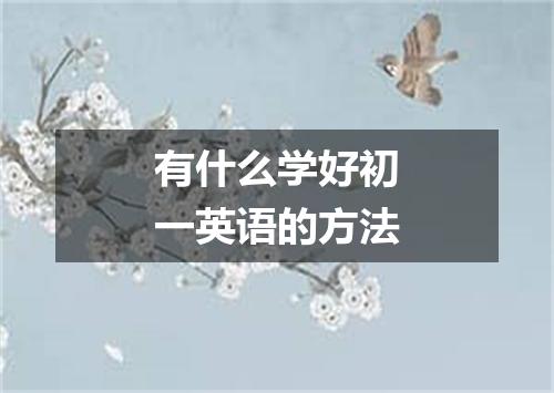 有什么学好初一英语的方法