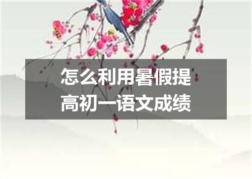 怎么利用暑假提高初一语文成绩