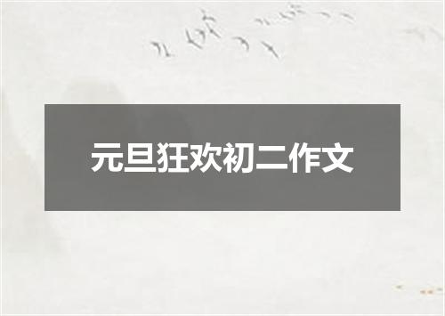 元旦狂欢初二作文
