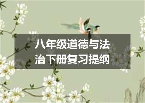 八年级道德与法治下册复习提纲
