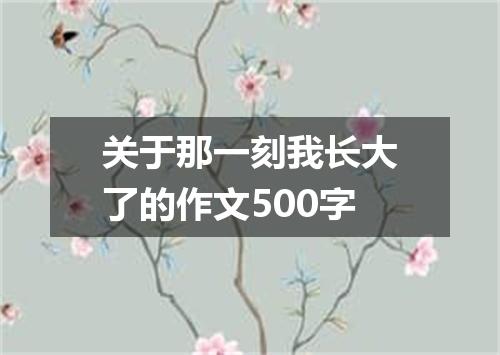 关于那一刻我长大了的作文500字