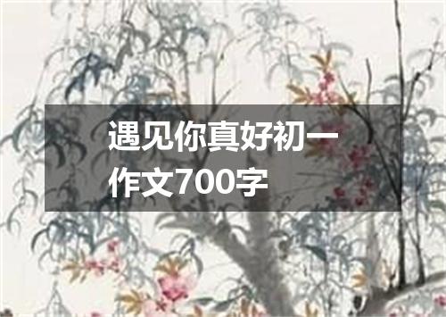 遇见你真好初一作文700字