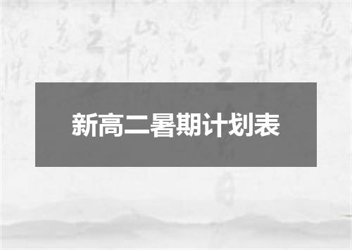新高二暑期计划表