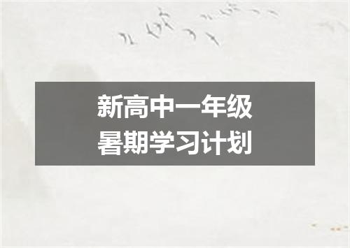 新高中一年级暑期学习计划