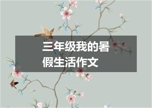 三年级我的暑假生活作文