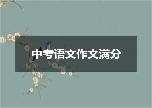 中考语文作文满分