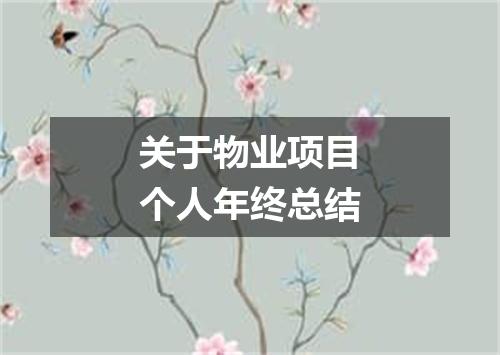 关于物业项目个人年终总结
