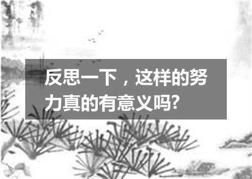 反思一下，这样的努力真的有意义吗?