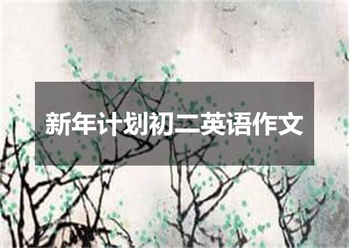 新年计划初二英语作文