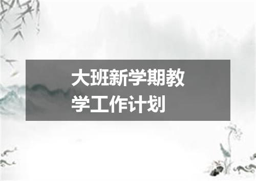 大班新学期教学工作计划