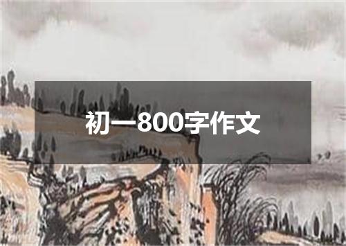 初一800字作文
