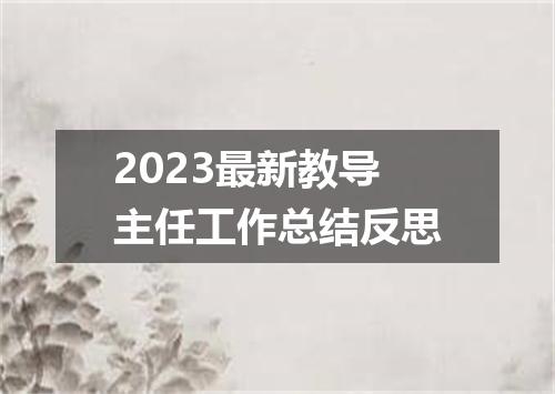 2023最新教导主任工作总结反思
