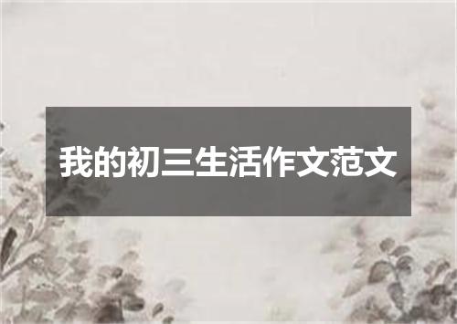 我的初三生活作文范文