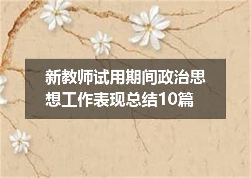 新教师试用期间政治思想工作表现总结10篇