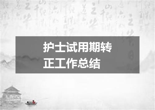 护士试用期转正工作总结