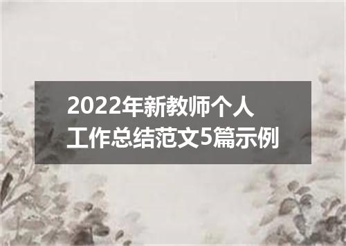 2022年新教师个人工作总结范文5篇示例