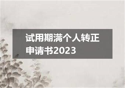 试用期满个人转正申请书2023