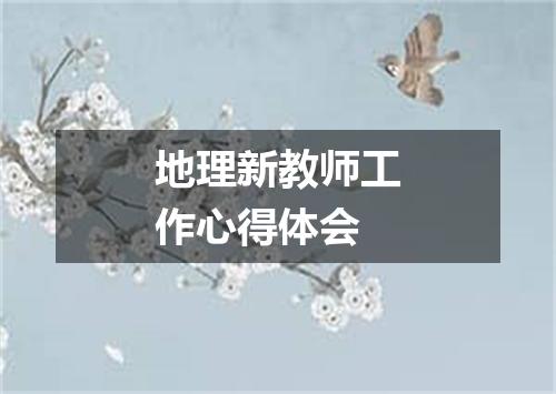 地理新教师工作心得体会