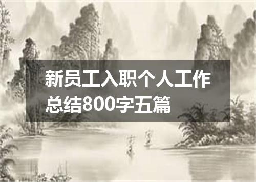 新员工入职个人工作总结800字五篇