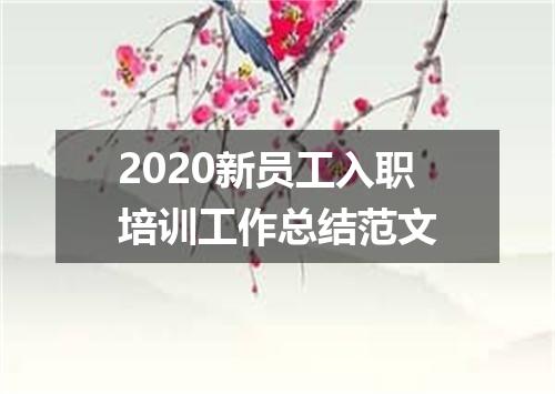 2020新员工入职培训工作总结范文