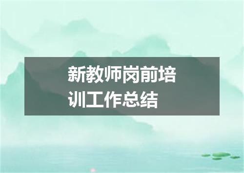 新教师岗前培训工作总结