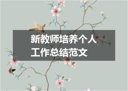 新教师培养个人工作总结范文