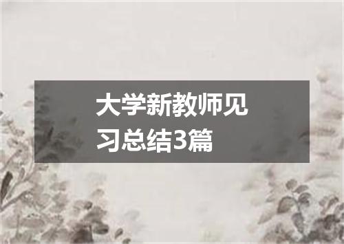 大学新教师见习总结3篇