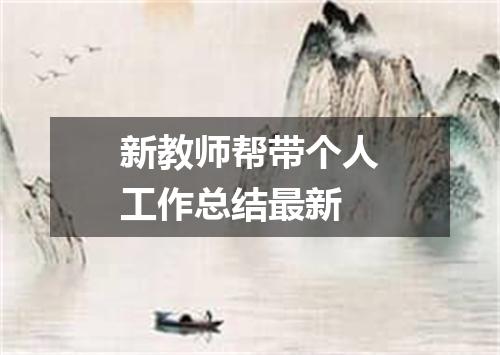 新教师帮带个人工作总结最新