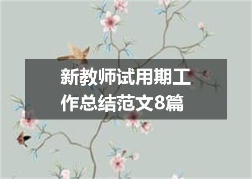 新教师试用期工作总结范文8篇
