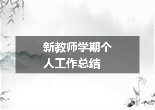 新教师学期个人工作总结