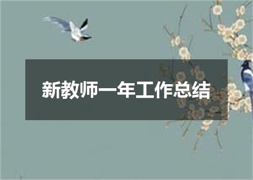 新教师一年工作总结