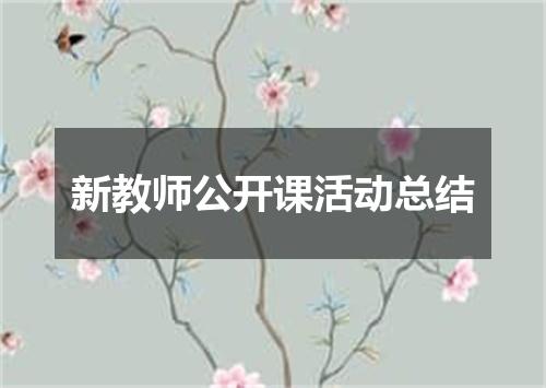 新教师公开课活动总结