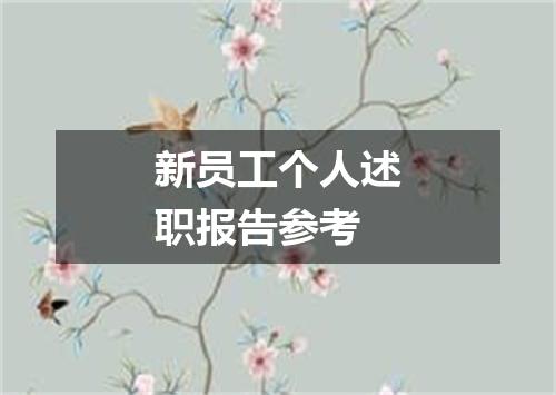 新员工个人述职报告参考