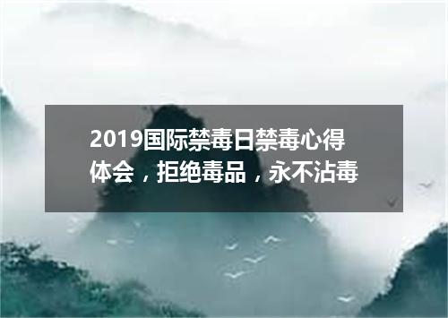 2019国际禁毒日禁毒心得体会，拒绝毒品，永不沾毒