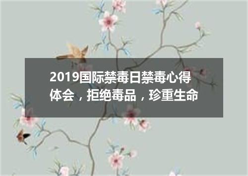 2019国际禁毒日禁毒心得体会，拒绝毒品，珍重生命
