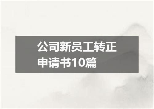 公司新员工转正申请书10篇