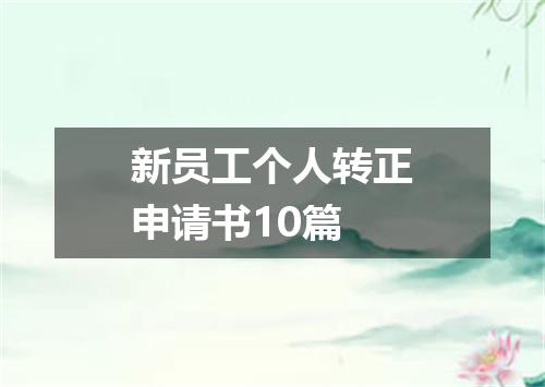新员工个人转正申请书10篇