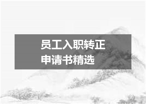 员工入职转正申请书精选