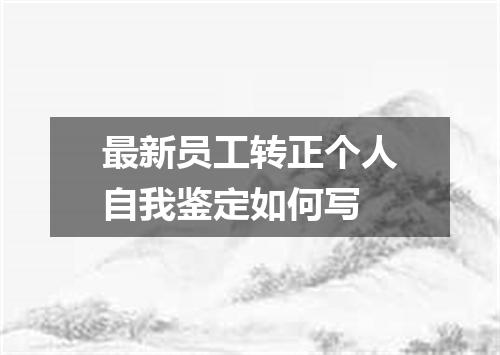 最新员工转正个人自我鉴定如何写