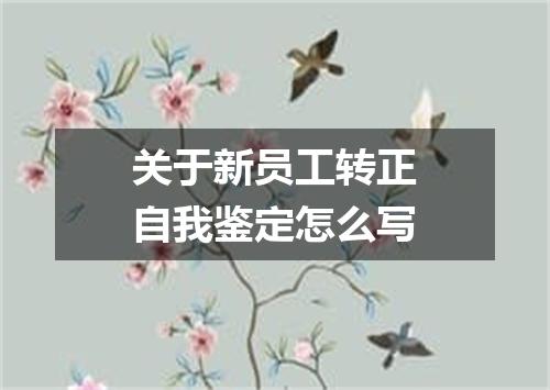 关于新员工转正自我鉴定怎么写