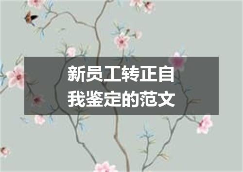 新员工转正自我鉴定的范文