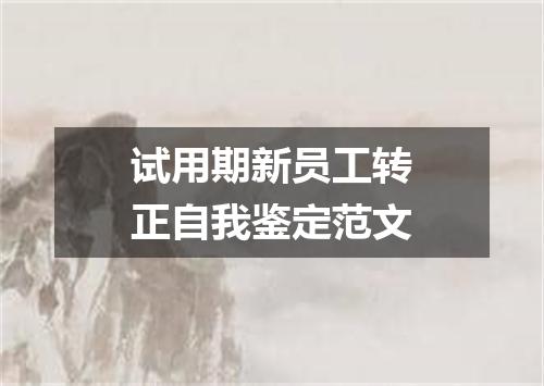 试用期新员工转正自我鉴定范文