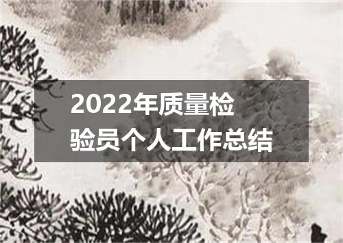 2022年质量检验员个人工作总结
