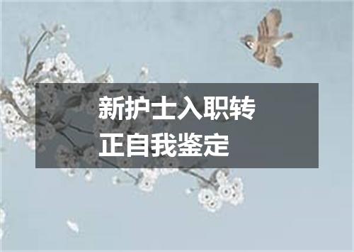 新护士入职转正自我鉴定